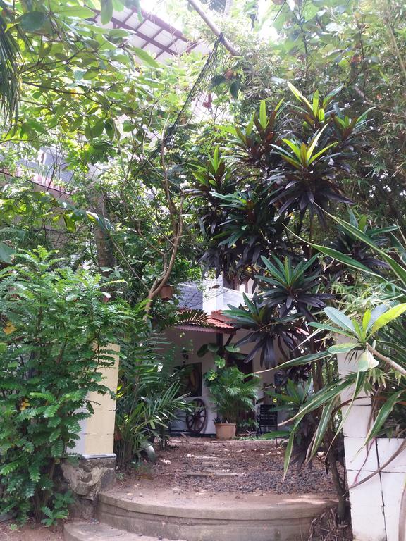 Peacock Wings Guest Hotel Mirissa Luaran gambar