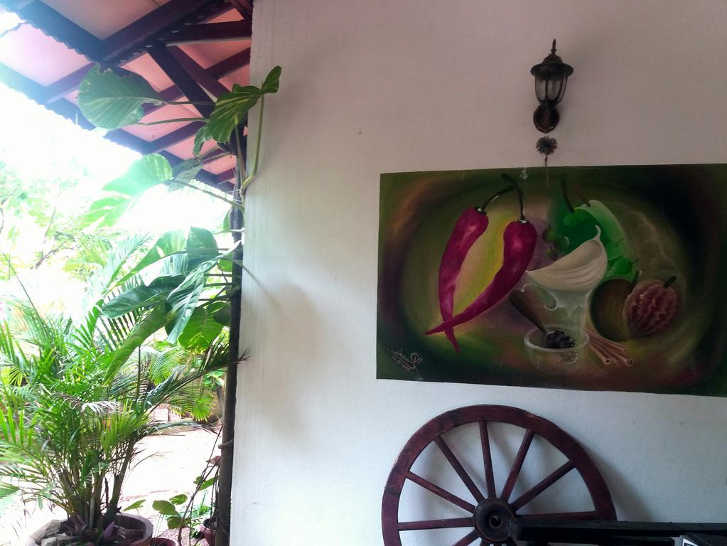 Peacock Wings Guest Hotel Mirissa Luaran gambar