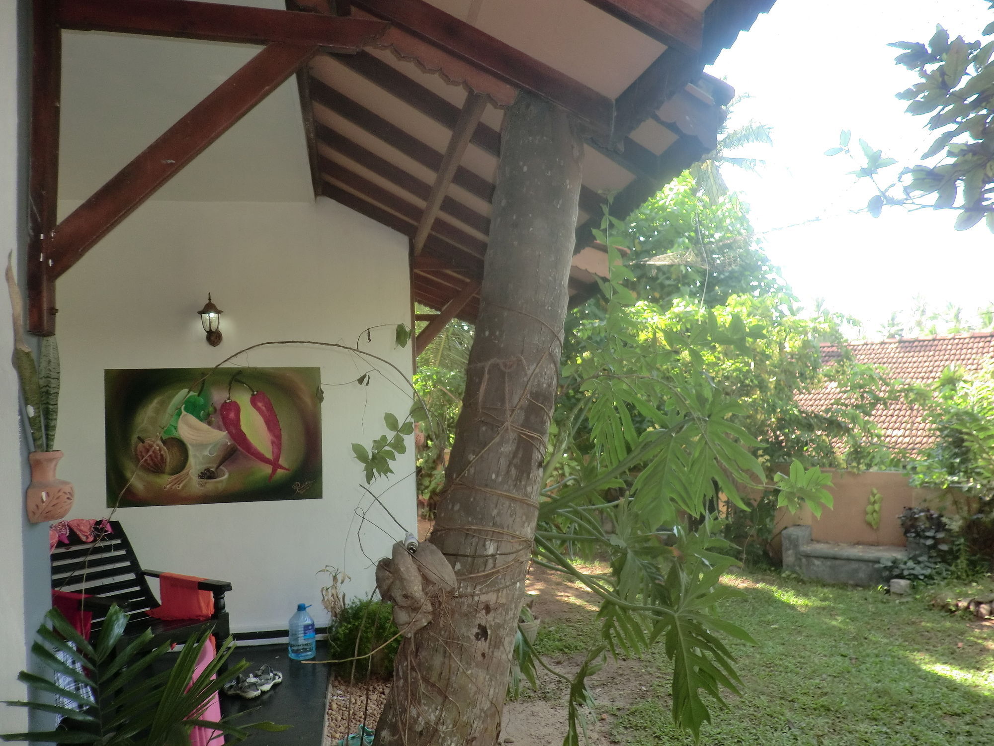 Peacock Wings Guest Hotel Mirissa Luaran gambar